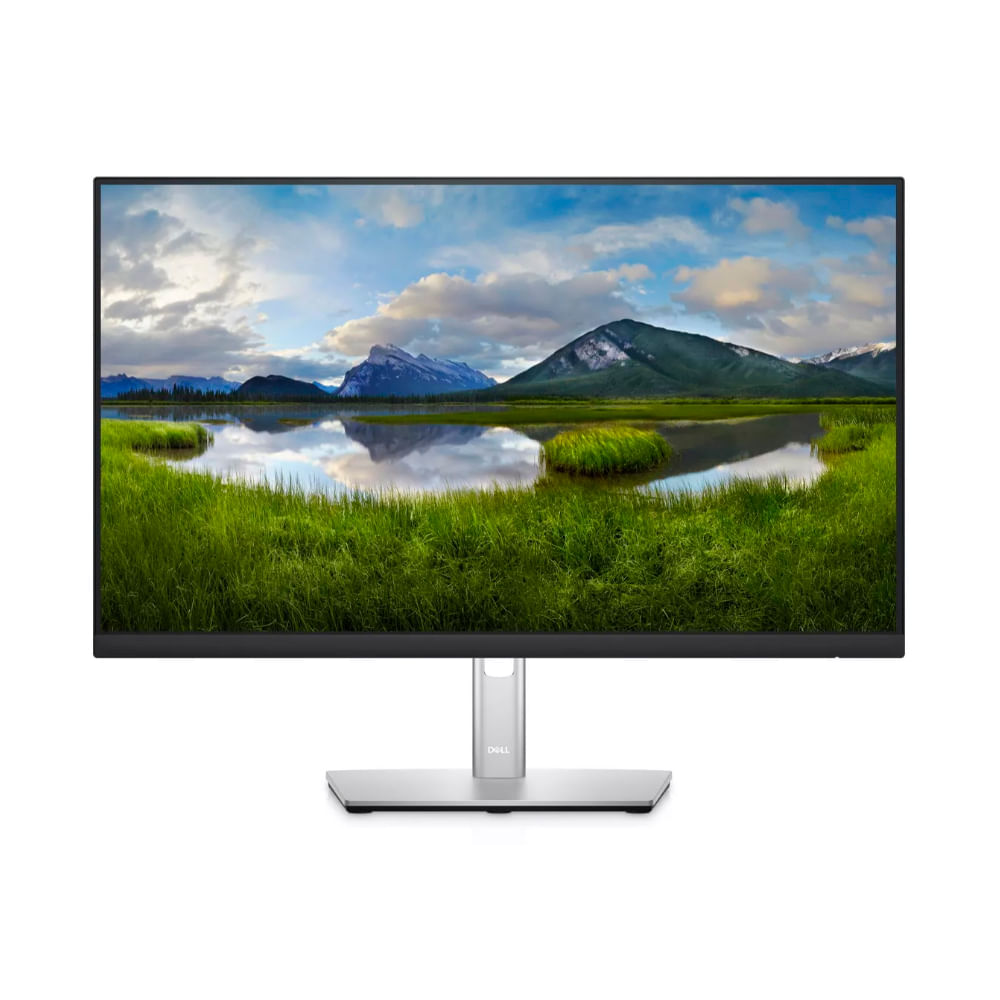 Monitor Dell P2422H - Mservice