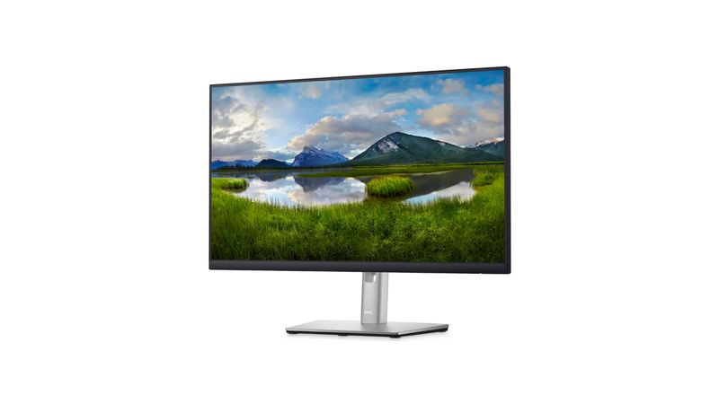 Monitor Dell P2422H - Mservice