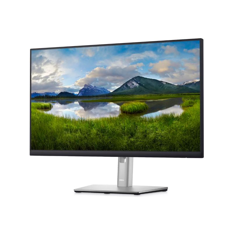 2-Monitor-Dell-Pro-2